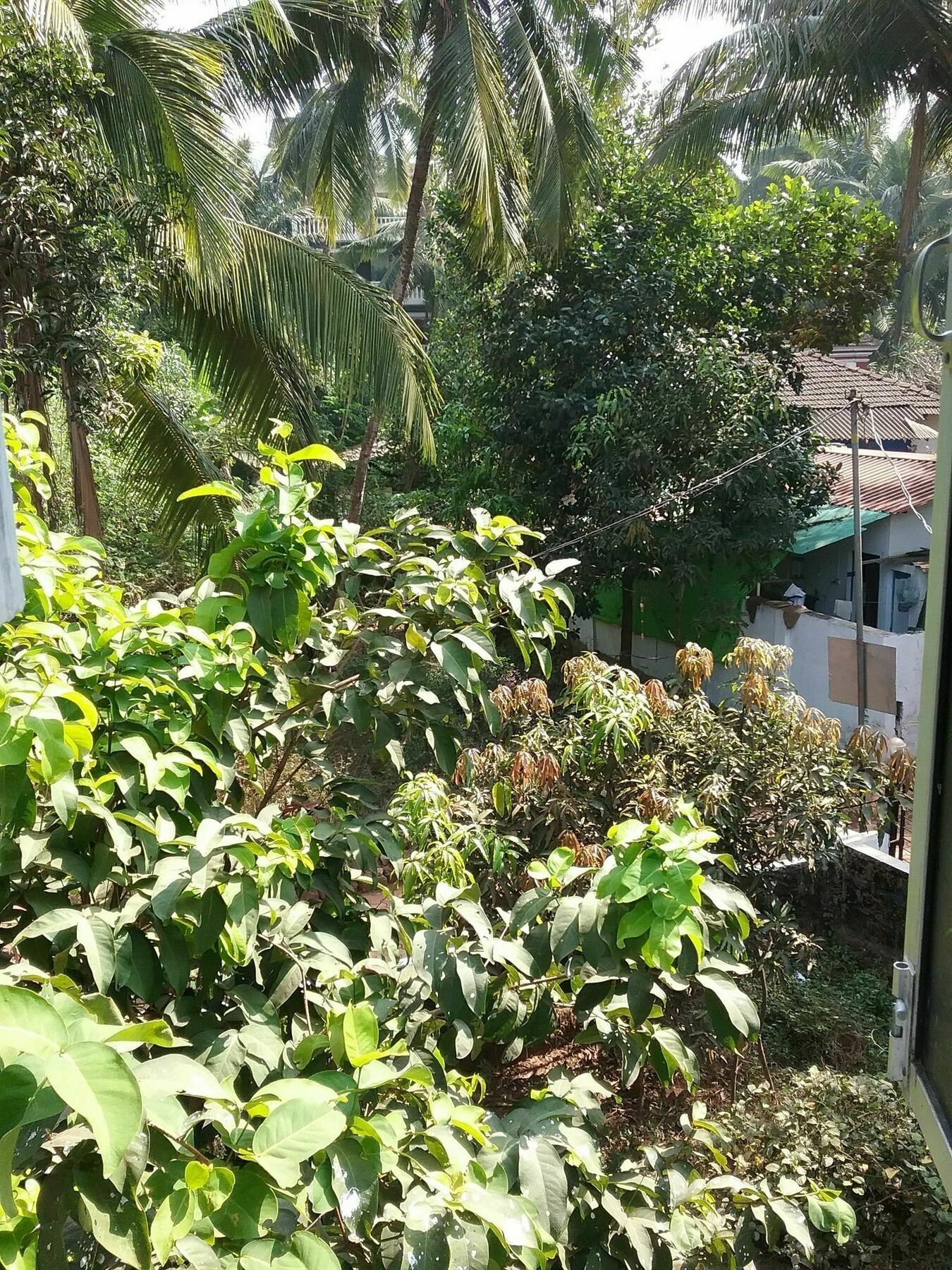 Hotel Baga Villa Bnb Saligao Exterior foto